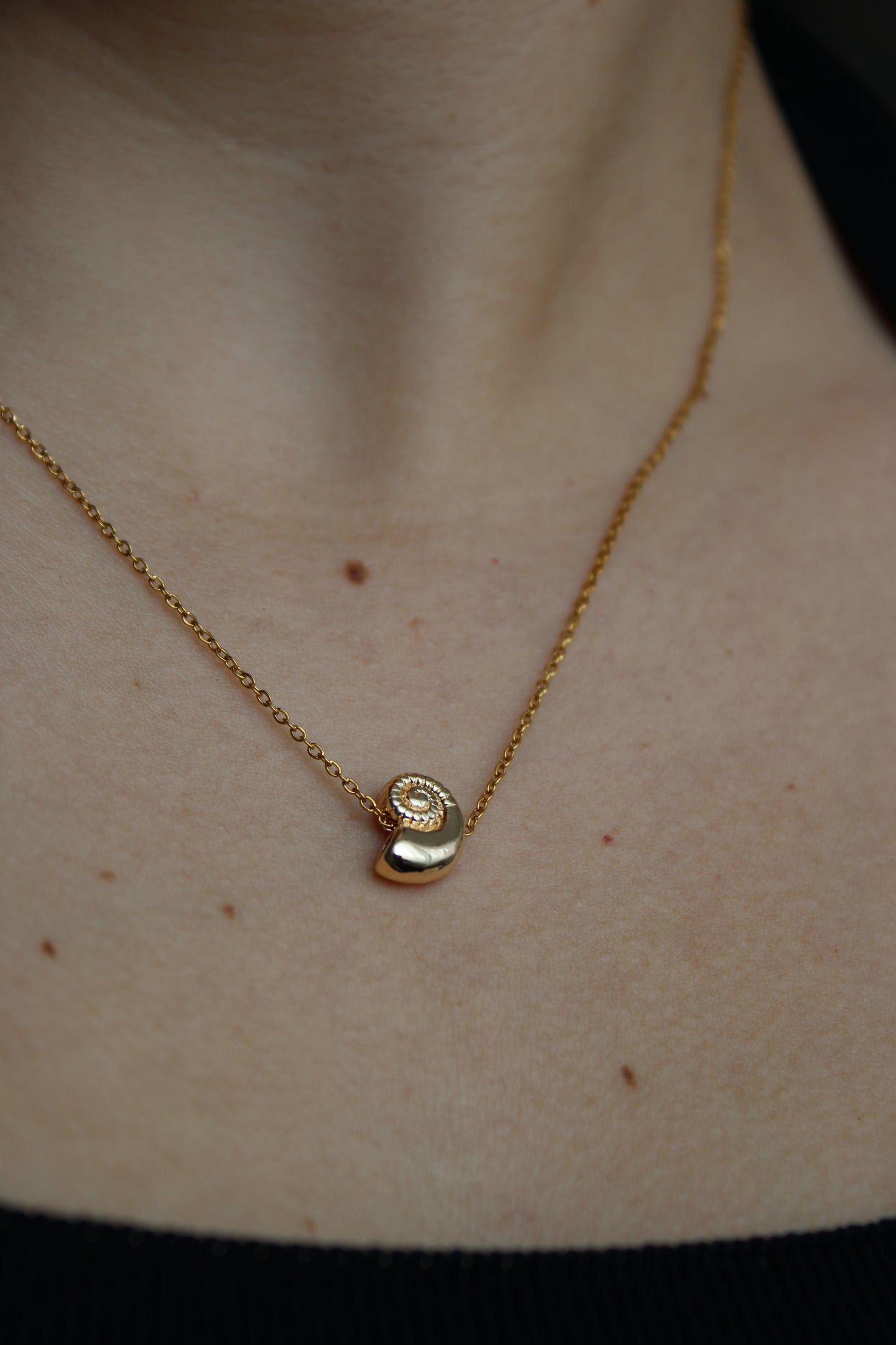 - COLLAR CONCHA MINI CHAPA DE ORO