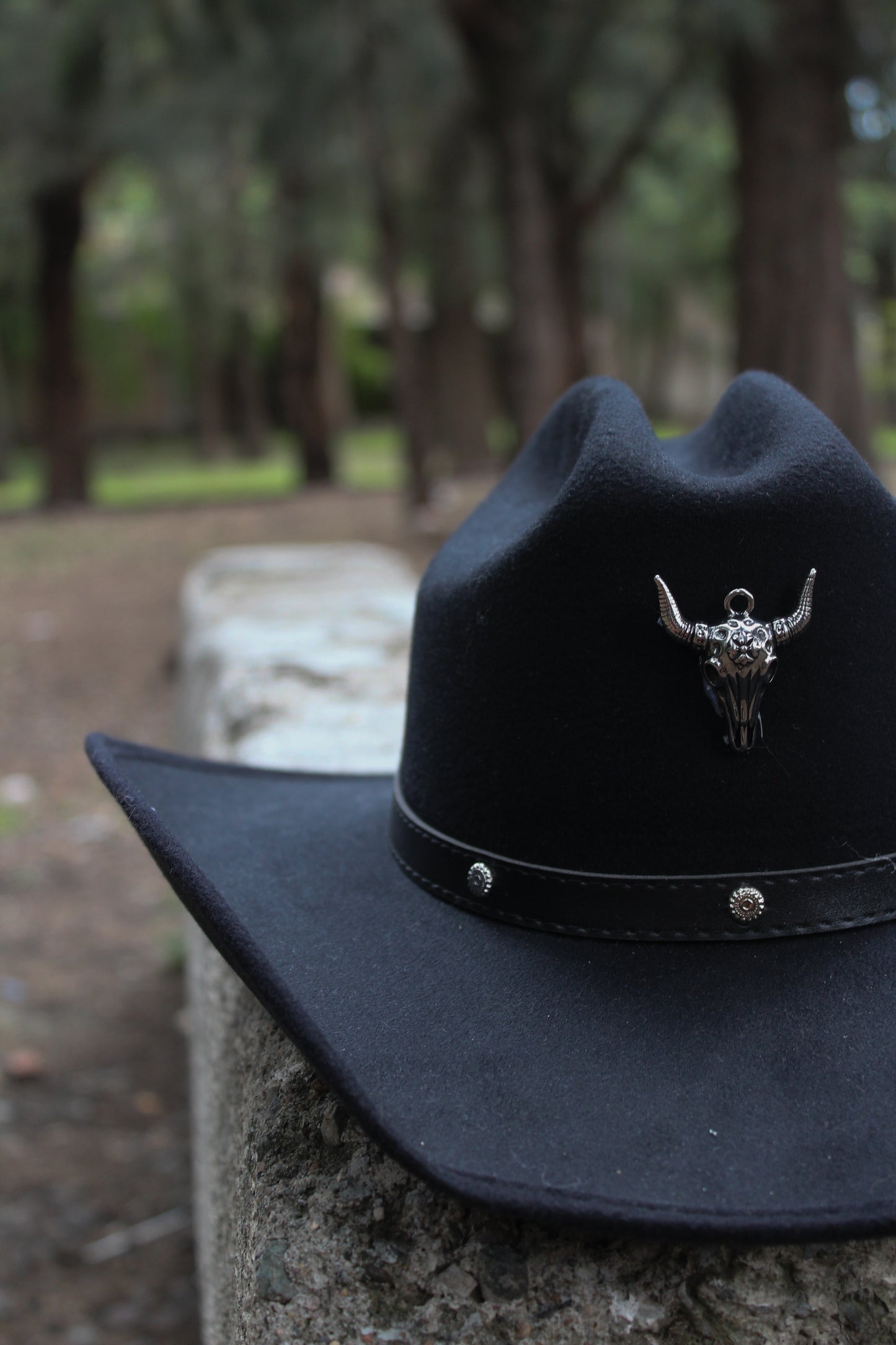 SONORA - Sombrero vaquero con toro algodón cowgirl