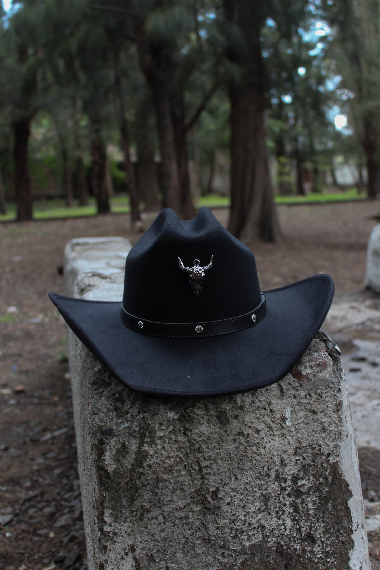 SONORA - Sombrero vaquero con toro algodón cowgirl