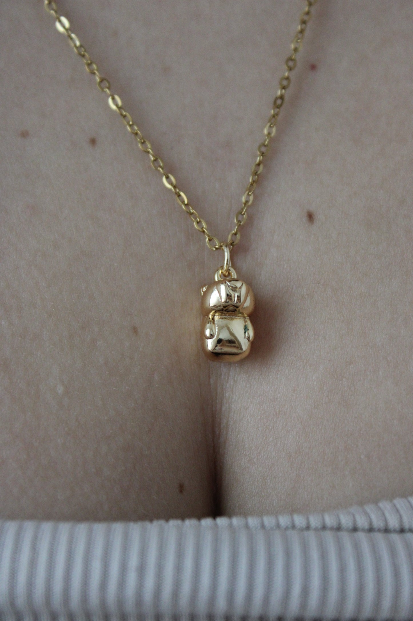 - COLLAR CAPIBARA ACERO INOXIDABLE