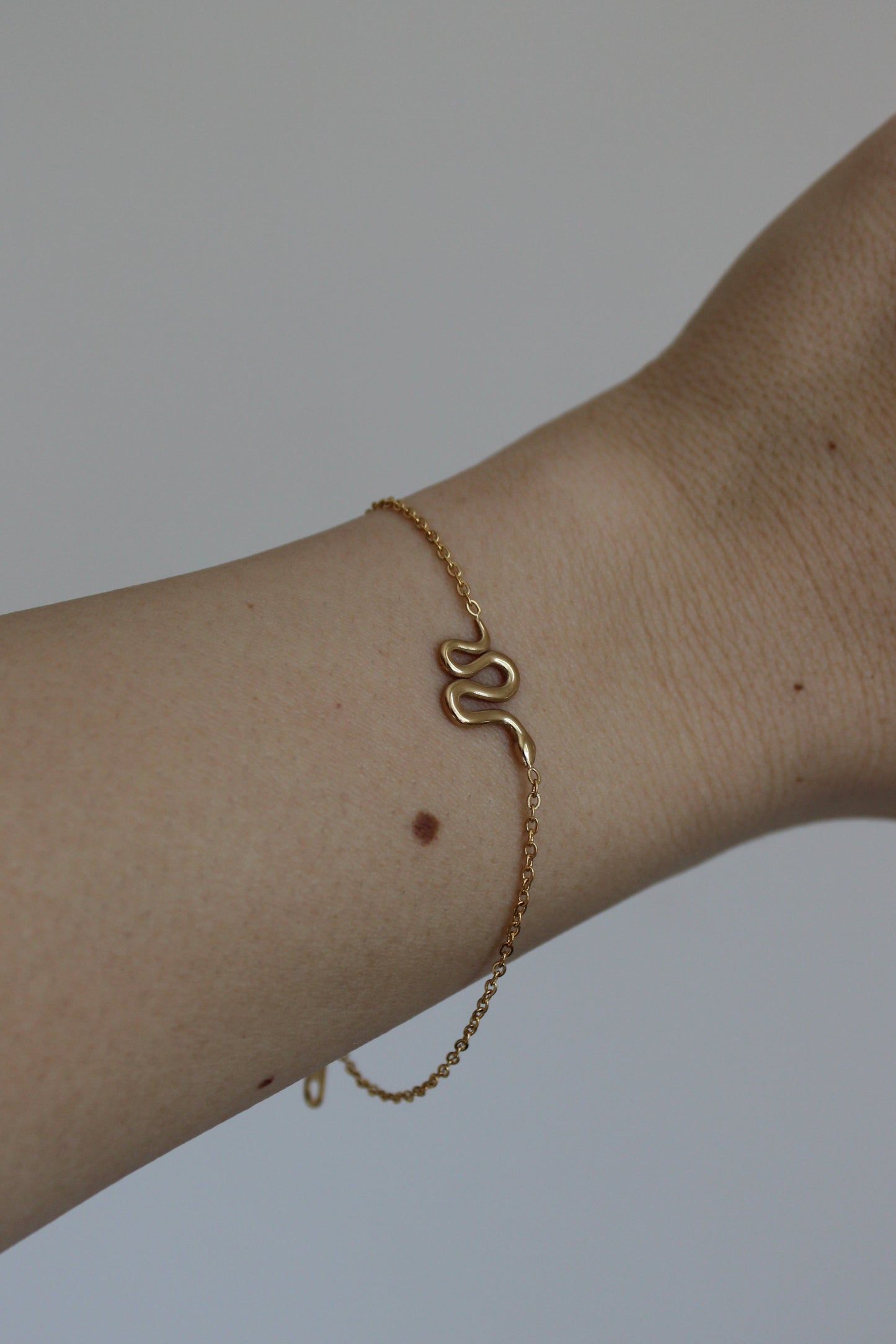 - PULSERA SERPIENTE ACERO INOXIDABLE