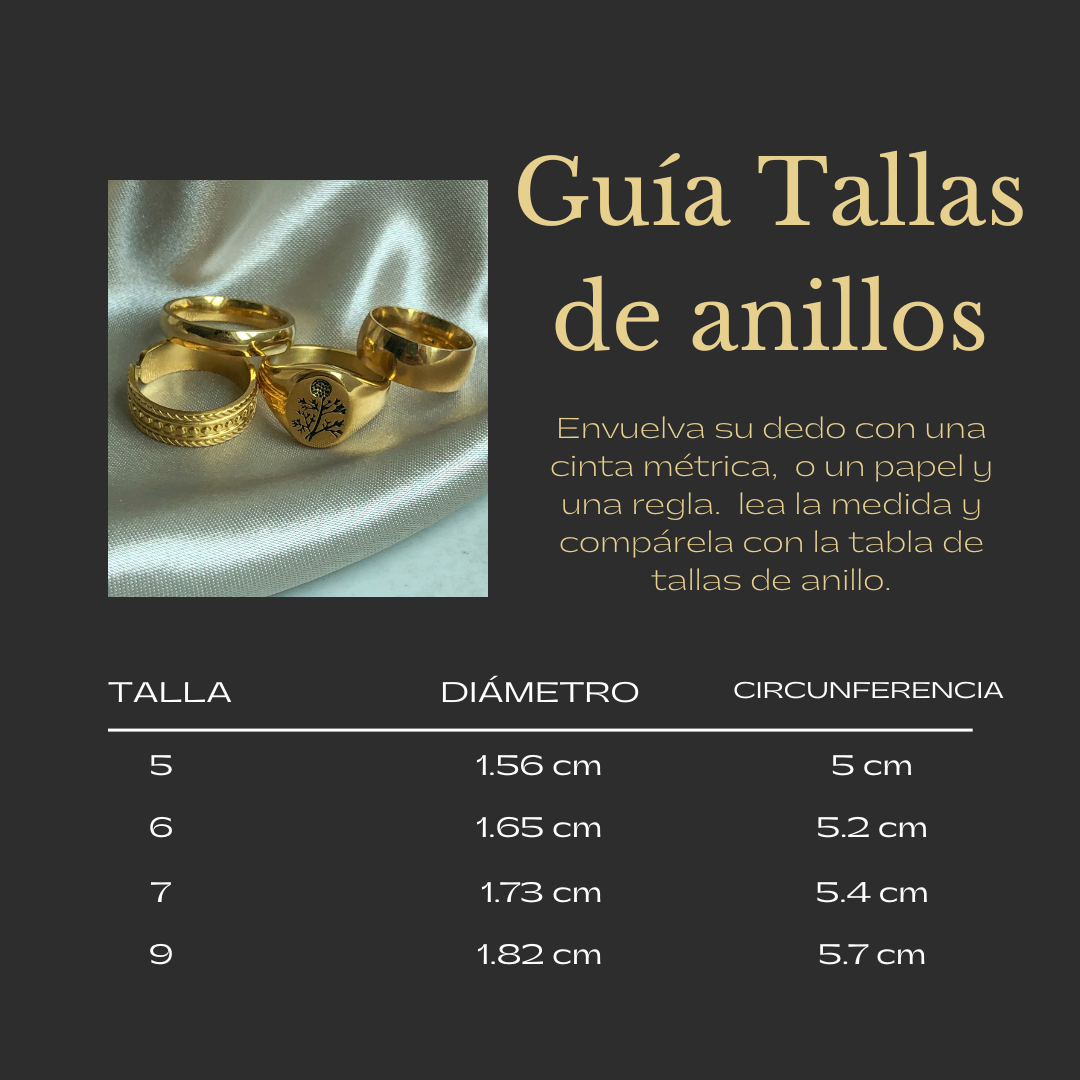 NAIDE - Anillo Churumbela Delgada Acero inoxidable