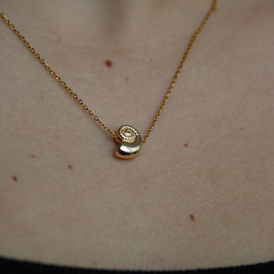 - COLLAR CONCHA MINI CHAPA DE ORO