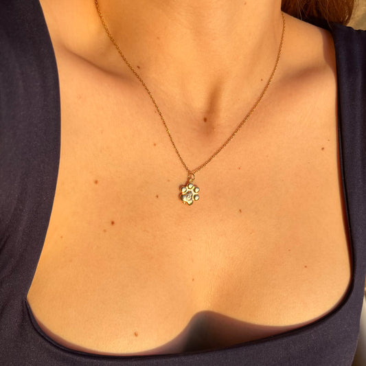 CAMILLA - COLLAR HUELLA MASCOTA PERRO GATO CHAPA DE ORO