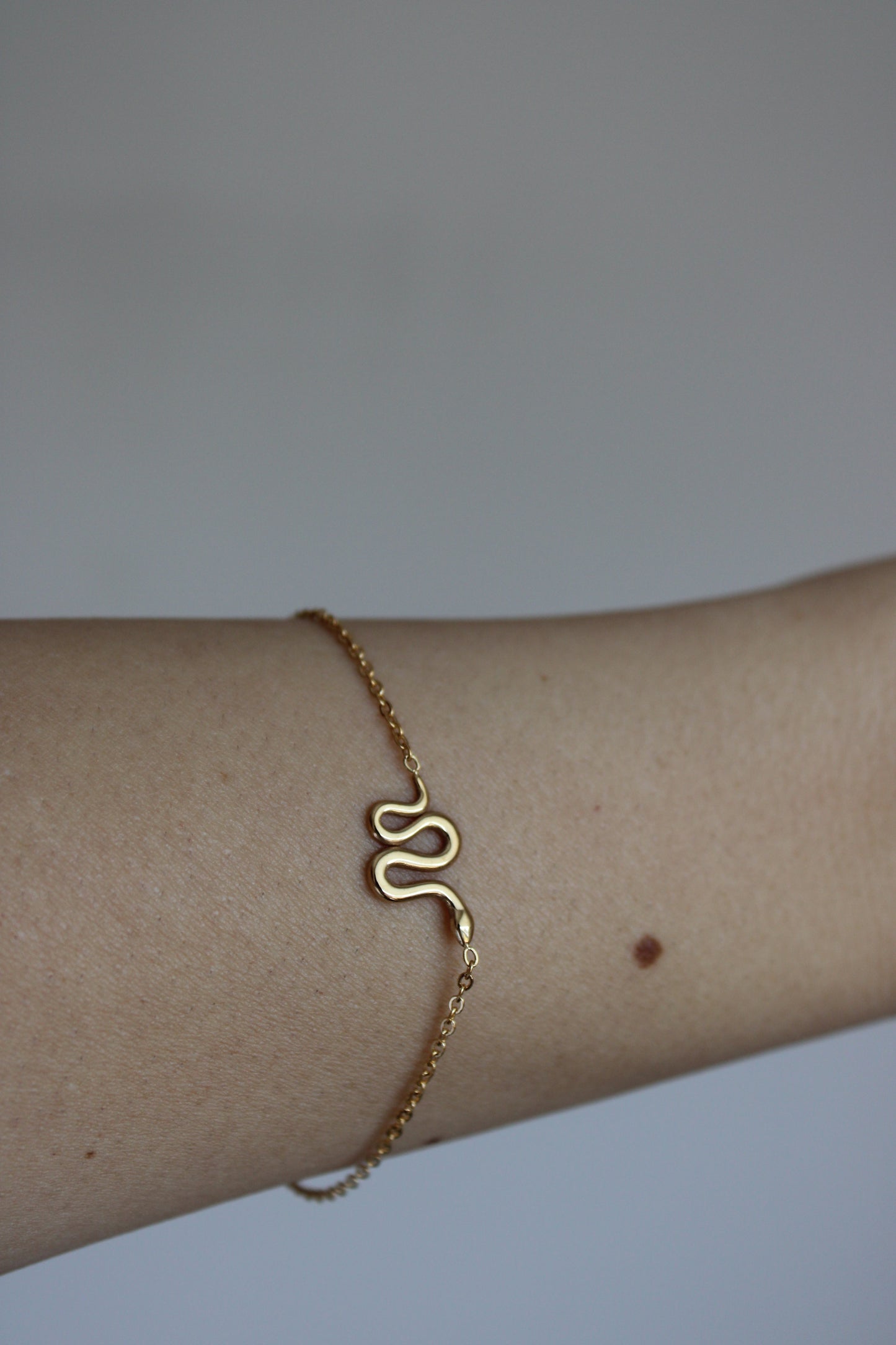 - PULSERA SERPIENTE ACERO INOXIDABLE