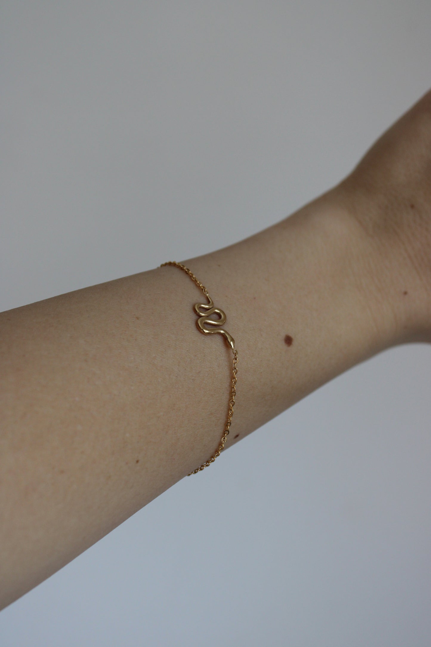 - PULSERA SERPIENTE ACERO INOXIDABLE